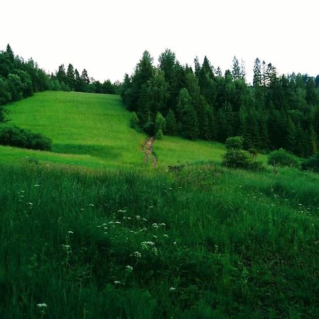 Domek W Gorach Pod Rysianka Zlatna Екстер'єр фото