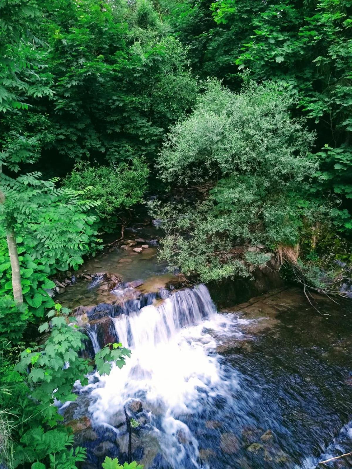 Domek W Gorach Pod Rysianka Zlatna Екстер'єр фото